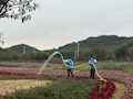 财经与物流管理学院组织开展“青田”浇水志愿服务活动