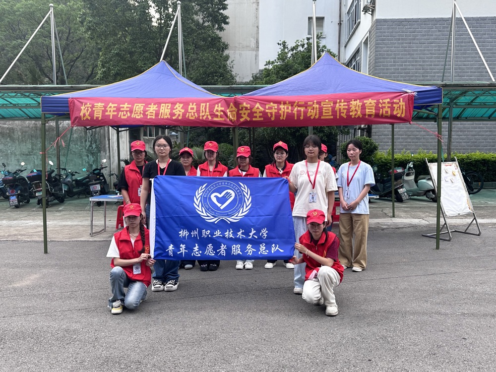 图示, 示意图&#10;&#10;中度可信度描述已自动生成:ver1