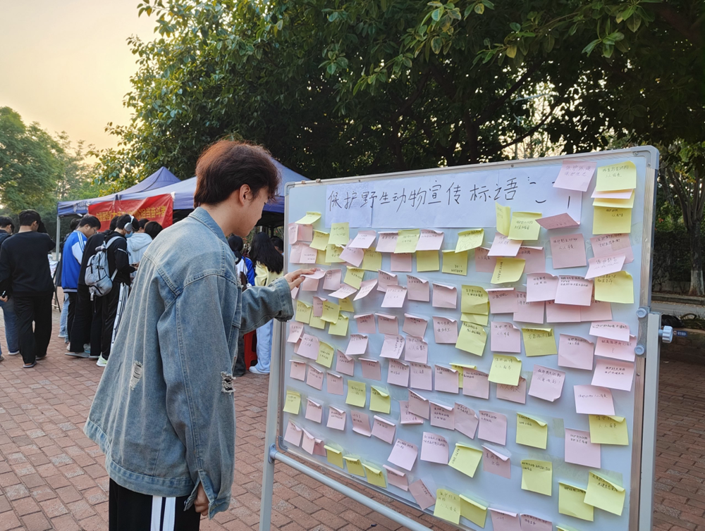 同学们粘贴保护动物的宣传标语 同学们粘贴保护动物的宣传标语