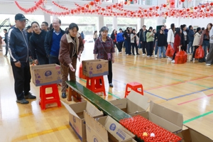 我校举办“我们的节日•春节”2026年迎新春游园活动