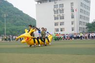 我校成功举办首届“柳职三月三，民族一家亲”民族传统体育文化节