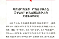 喜讯：我校在区、市共青团表彰中获多项荣誉
