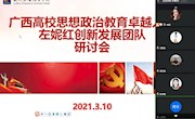 广西高校思想政治教育卓越人才左妮红创新发展团队召开线上工作推进会
