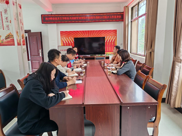 调研乡村振兴工作座谈会