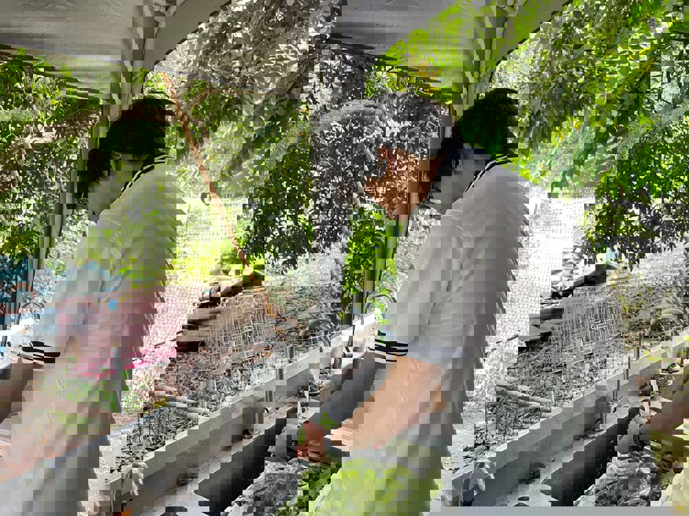 图一