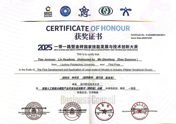 2025一带一路暨金砖国家技能发展与技术创新大赛一等奖