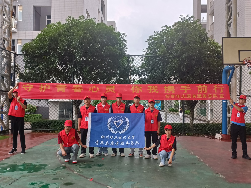 图示, 示意图&#10;&#10;中度可信度描述已自动生成:ver1
