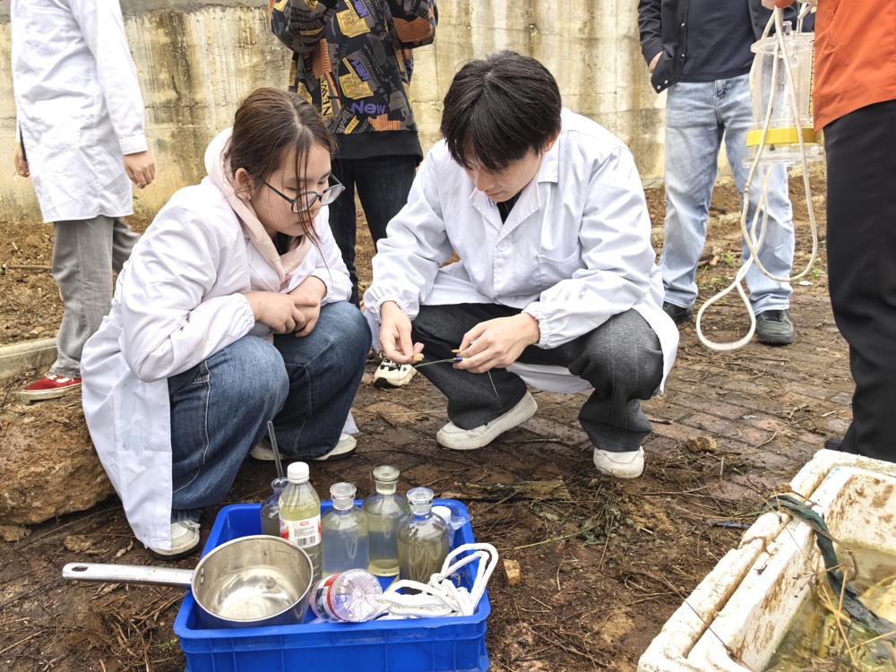 IMG_20260402_161828_edit_3079265329252008