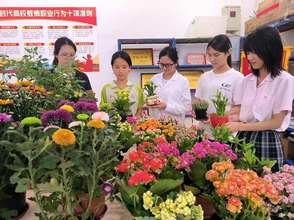 环境与食品工程学院开展“绿动心声，植愈成长”绿植领养活动