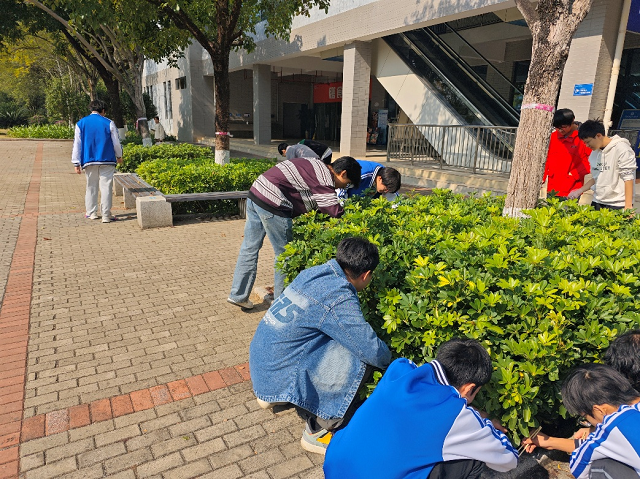 同学们认真开展志愿活动