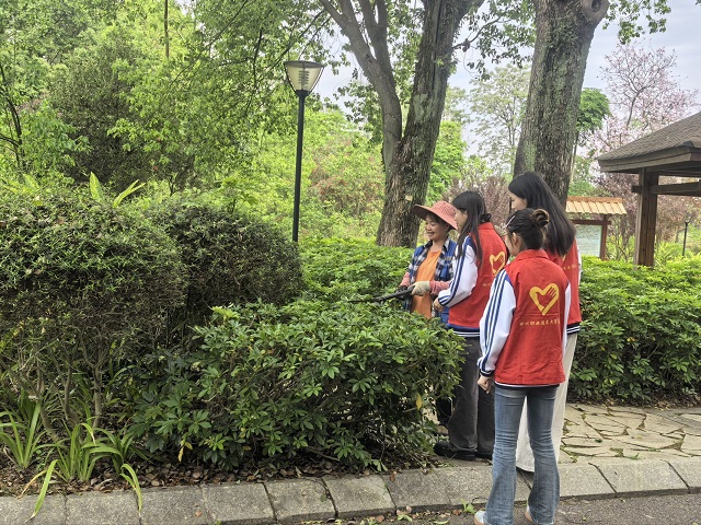 园林工作人员在指导修剪枝叶