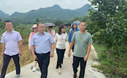 电商助农梨香飘十里，下乡普惠幸福千万家  汇新媒力量，筑梦里高镇 直播电商产业学院为青花梨电商助力