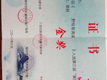 喜讯：我校教师美术作品获第三届“美丽龙城”柳州艺术作品双年展作品评选金奖